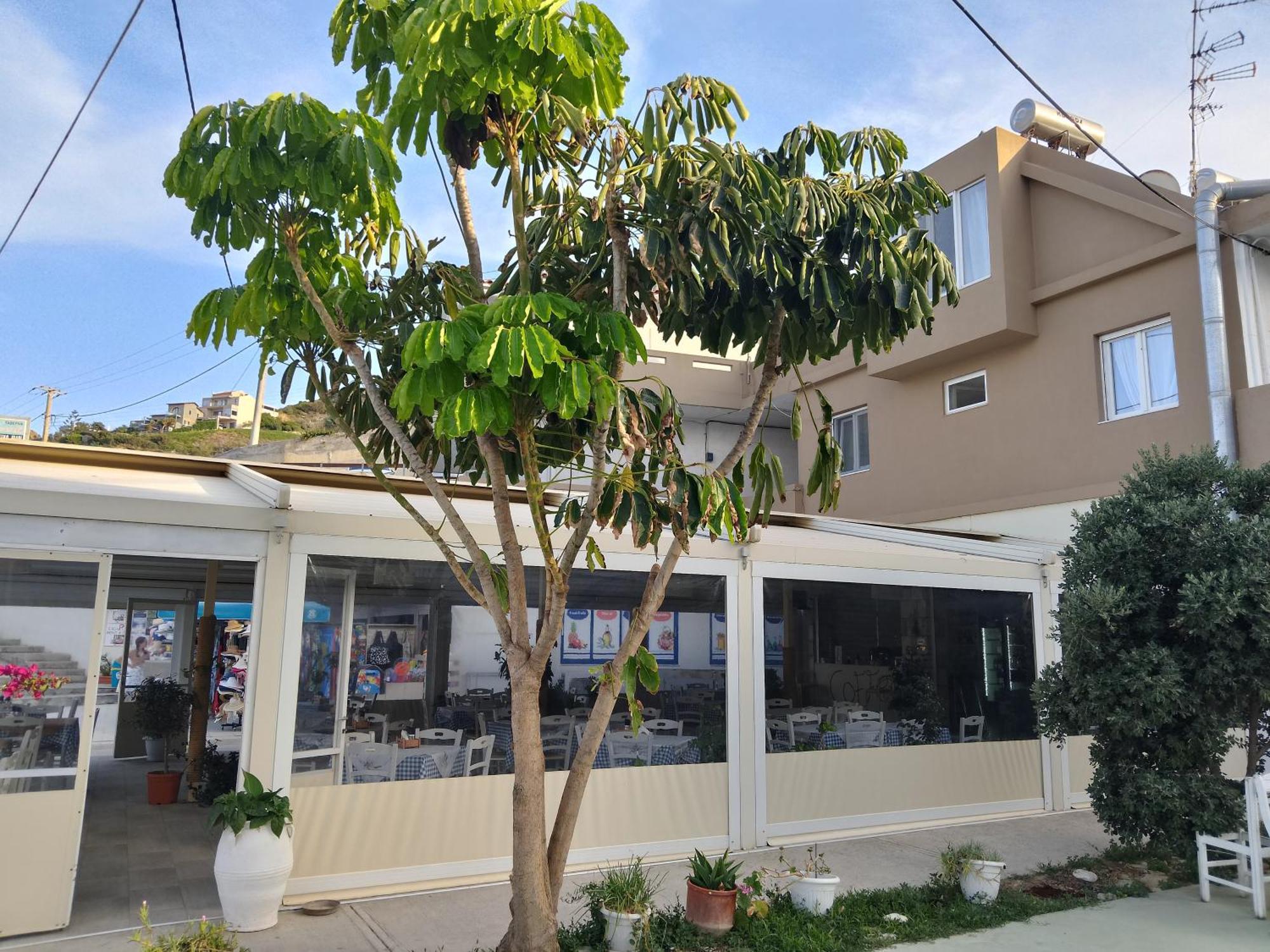 ליגאריה Anatoli Lygaria Apartments On The Beach מראה חיצוני תמונה